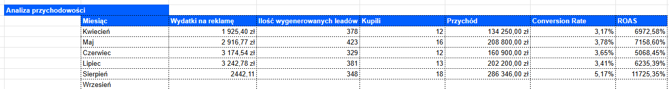 Analiza przychodowości kampanii Solidne Garaże Blaszane — 5 miesięcy wyników